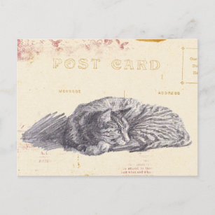 Cartão Postal Cartão-postal Vintage Dourado e Rosa do Cat Sketch