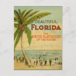 Cartão Postal Cartão-postal Vintage Florida Winter Playground