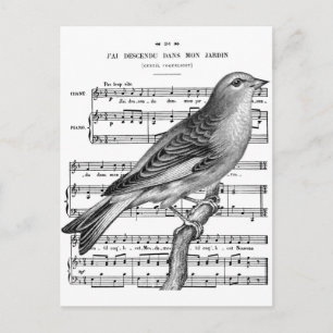 Cartão Postal Cartão-postal Vintage French Bird Music