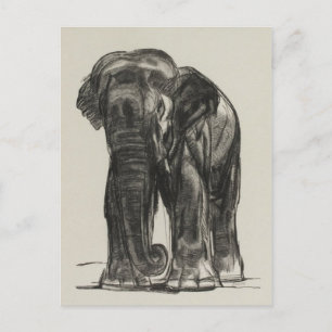 Cartão Postal Cartão-postal Vintage Illustration