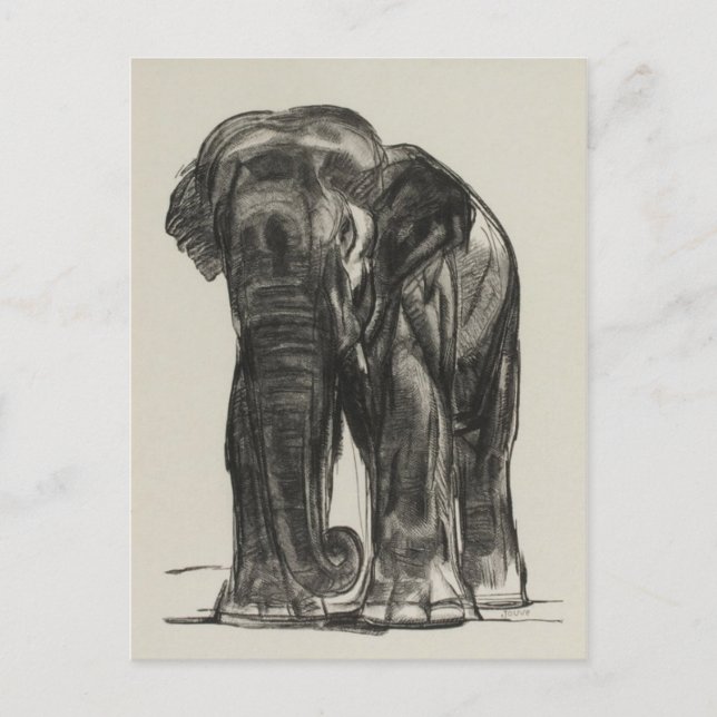 Cartão Postal Cartão-postal Vintage Illustration (Frente)