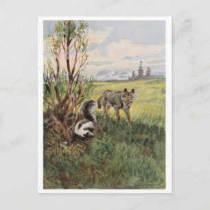 Cartão Postal Cartão-postal Vintage Illustration