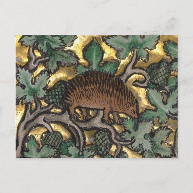 Cartão Postal Cartão-postal Vintage Illustration (Frente)