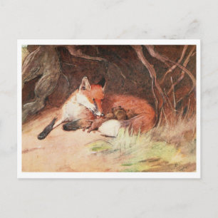 Cartão Postal Cartão-postal Vintage Illustration