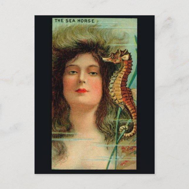 Cartão Postal Cartão-postal Vintage Illustration (Frente)