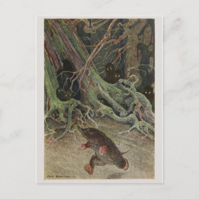 Cartão Postal Cartão-postal Vintage Illustration (Frente)