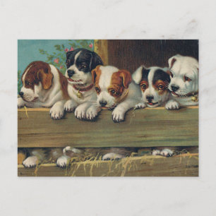 Cartão Postal Cartão-postal Vintage Pups