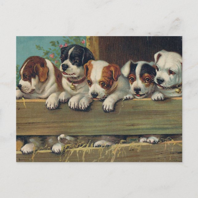 Cartão Postal Cartão-postal Vintage Pups (Frente)