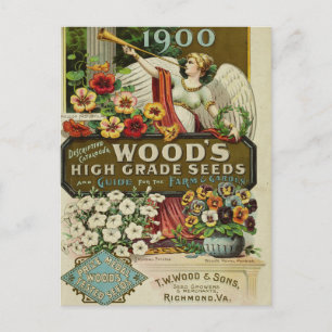 Cartão Postal Cartão-postal Vintage Seed