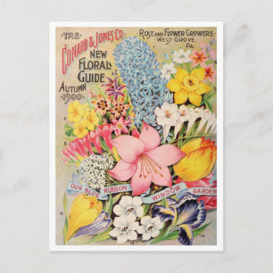 Cartão Postal Cartão-postal Vintage Seed