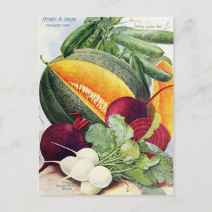 Cartão Postal Cartão-postal Vintage Seed