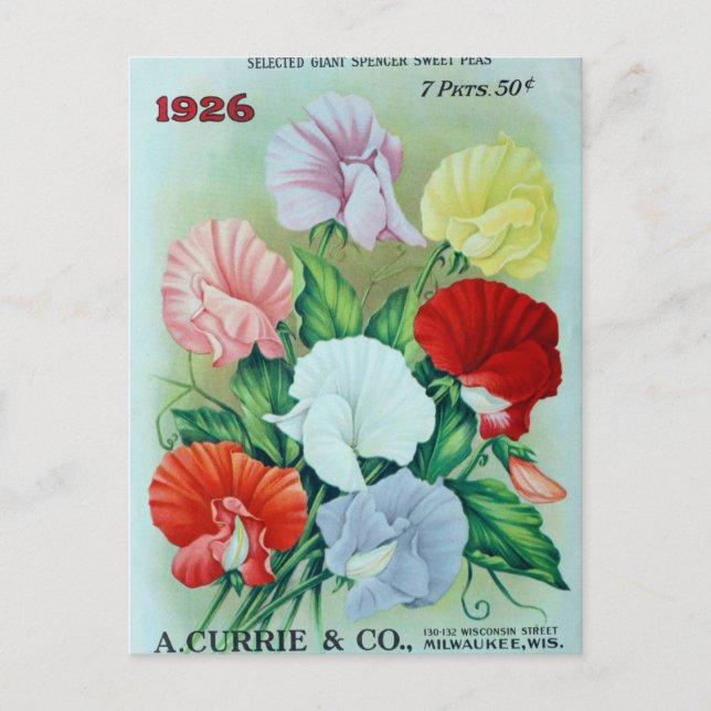 Cartão Postal Cartão-postal Vintage Seed (Frente)