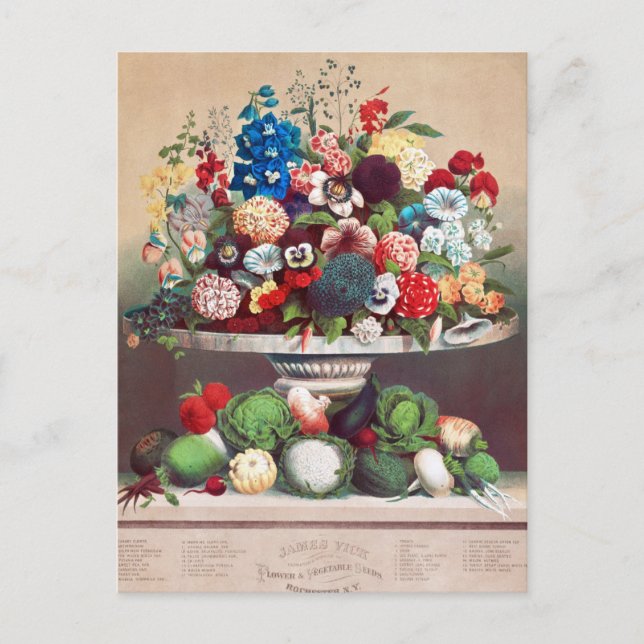Cartão Postal Cartão-postal Vintage Seed (Frente)