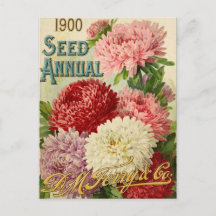 Cartão-postal Vintage Seed