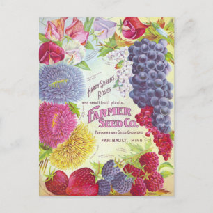 Cartão Postal Cartão-postal Vintage Seed