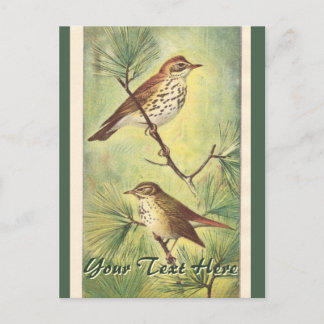 Cartão Postal Cartão-postal Vintage Thrushes