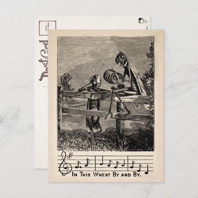 Cartão Postal Cartão-postal vitoriano para canções de gafanhoto (Frente/Verso)