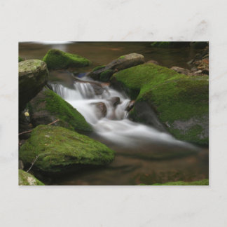 Cartão Postal Cartão-postal Walker Creek