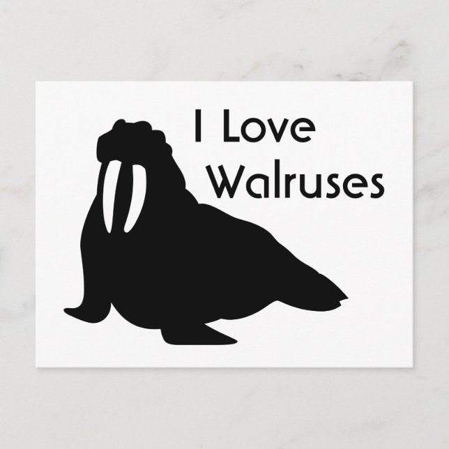 Cartão Postal Cartão-postal Walrus Love (Frente)