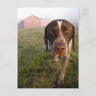 Cartão Postal Cartão-postal Walter Barn