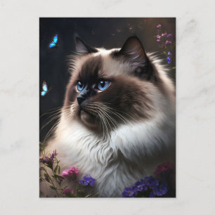 Cartão Postal Cartão-postal Whimsso Birman Cat