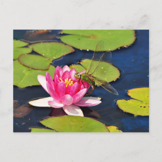 Cartão Postal Cartão-postal 'Whimsy'