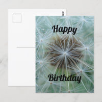 Cartão-postal White Dandelion