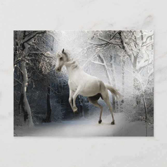 Cartão Postal Cartão-postal White Horse em Snowy Winter Landscap (Frente)