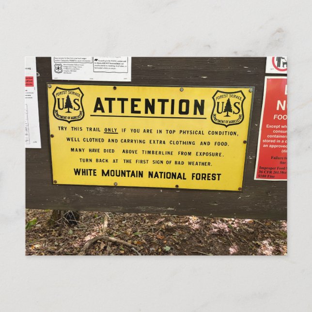 Cartão Postal Cartão-postal White Mounains Mt. Jackson (Frente)