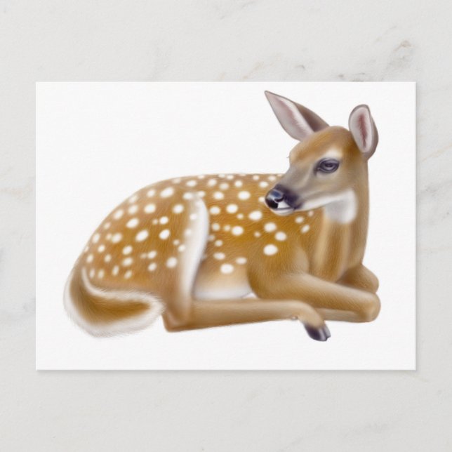 Cartão Postal Cartão-postal White Tailandês Deer Fawn (Frente)