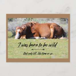 Cartão Postal Cartão-postal Wild Mustangs para Sempre