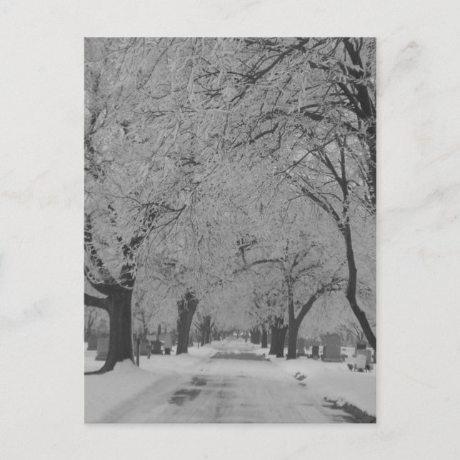 Cartão Postal Cartão-postal Winter In Nebraska (Frente)