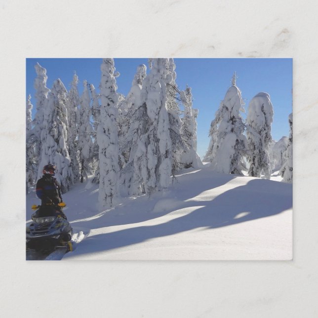 Cartão Postal Cartão-postal Winterscape do Snowmobiler (Frente)