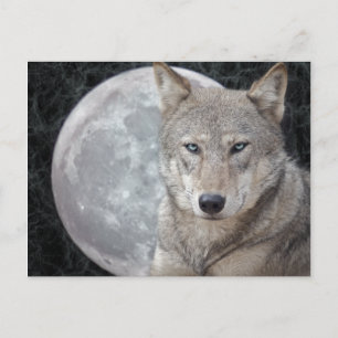 Cartão Postal Cartão-postal Wolf Moon