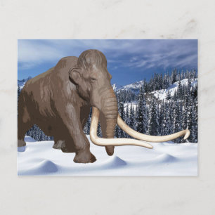 Cartão Postal Cartão-postal Wooly Mammoth