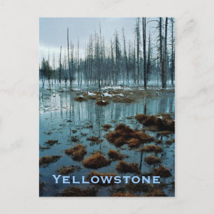 Cartão Postal Cartão-postal Yellowstone