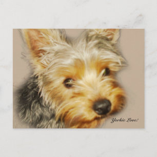 Cartão Postal Cartão-postal Yorkie Love