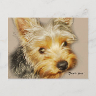 Cartão Postal Cartão-postal Yorkie Love