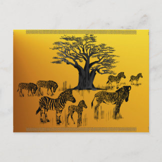 Cartão Postal Cartão-postal Zebra e Baobab