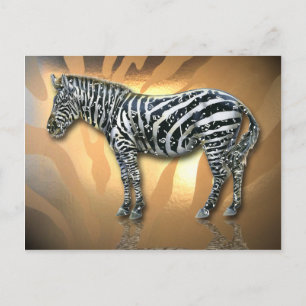 Cartão Postal Cartão-postal Zebra Musical