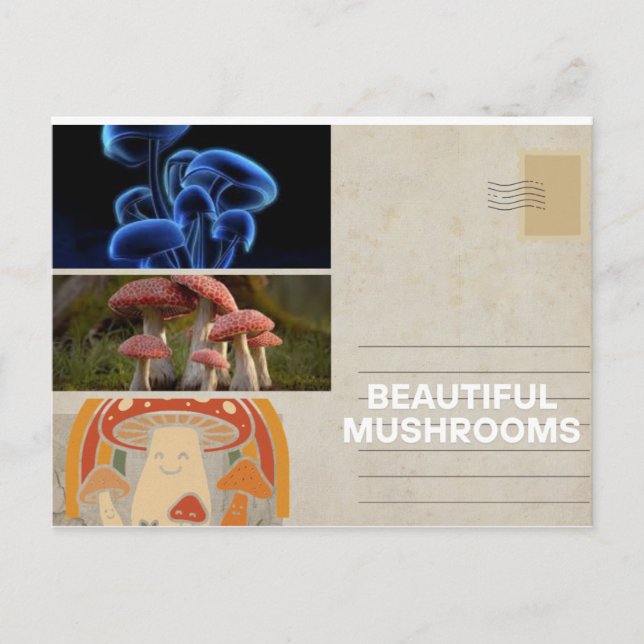 Cartão Postal cartão-poster de cogumelo-branco-endêmico (Frente)