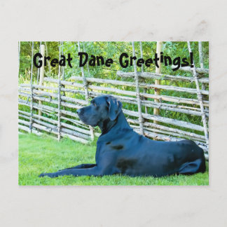 Cartão Postal CartãoPostalDeBoasVindasDoGreatDane