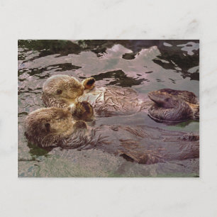 Cartão Postal Cartas de Mar com Mãos