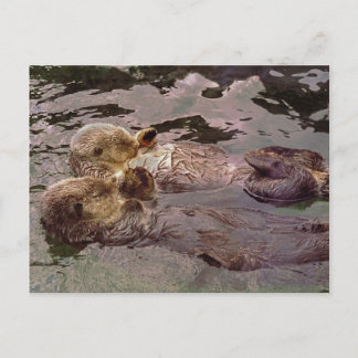 Cartão Postal Cartas de Mar com Mãos