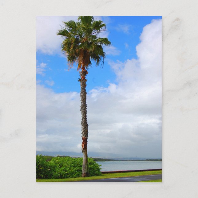 Cartão Postal Cartaz "Altura em Pé" (Frente)