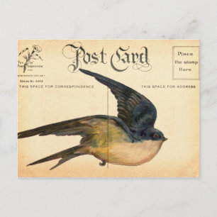 Cartão Postal Cartaz - Arte Digital Bird