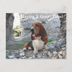 Cartão Postal Cartaz Basset Hound Castle Ruin Visita