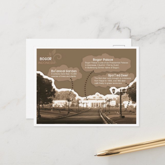 Cartão Postal Cartaz Bogor Palace Indonésia (Frente/Verso In Situ)