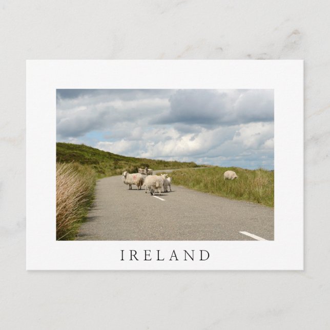 Cartão Postal Cartaz branco sobre a estrada na Irlanda (Frente)