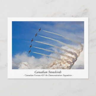 Cartão Postal Cartaz canadense Snowbird